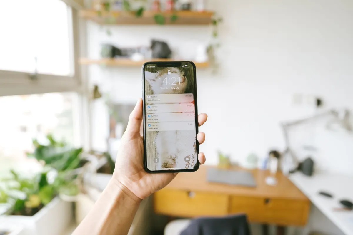 A hand holds a phone up to natural window light while framing a shot, illustrating the lighting advice in the smartphone checklist.