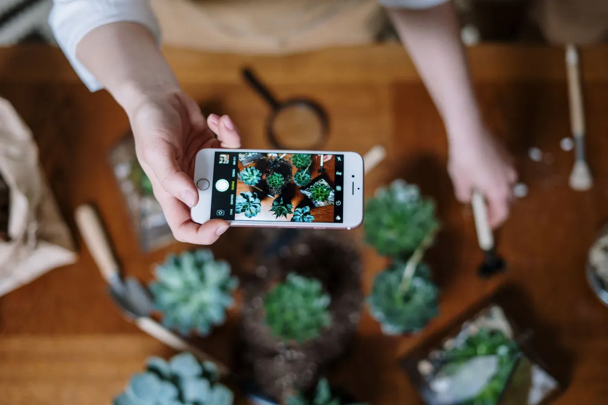 Uma pessoa fotografa um arranjo de produto com o smartphone, o tipo de conteúdo visual que as ferramentas de agendamento voltadas para o Instagram organizam.