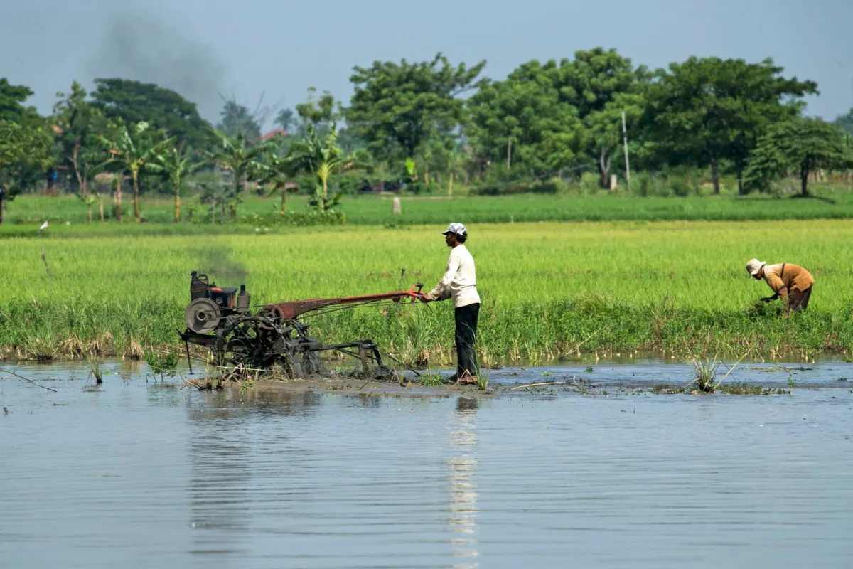 A farmer works in an open field, the kind of everyday occupation the wiki cites as an ideal AMA topic.